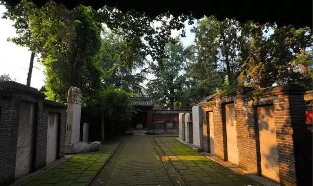 不能更赞：没想到你是这样的邹城