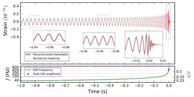 抖森和霉霉的关系,lovestory霉霉抖森