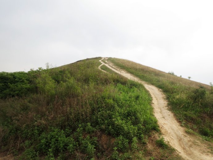 盗墓贼的三个绝招,盗墓贼一招搞定流沙墓