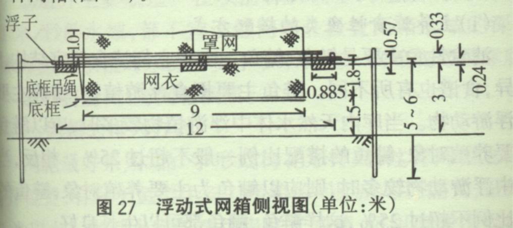 网箱高密度养鱼注意事项,网箱养鱼需要什么设备吗