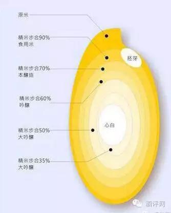 决定啤酒口感的因素,好酒的几个特点