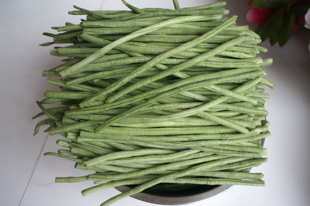 还在吃有防腐剂的酸豇角吗？跟我来学，保你5天吃上自制酸豇豆！