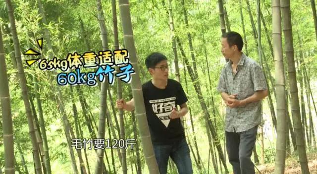 水上漂竹子怎么做到的,一根竹子水上漂的视频