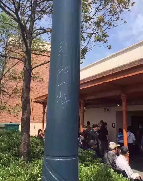 上海迪士尼乐园全攻略指南,去迪士尼一定要知道的事