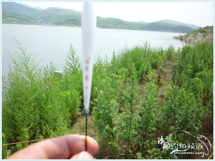 游钓中国丹江口市之行,游钓丹江300天