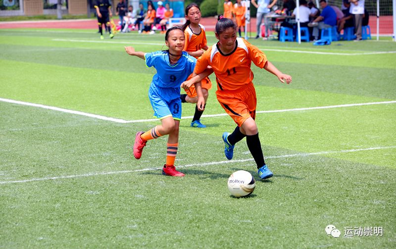 瓒崇悆灏戝勾鐨勭豢鑼垫ⅵ鎯抽槦,灏戝勾蹇楃豢鑼垫ⅵ