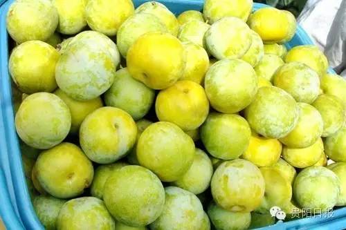 贵阳夏季鲜果采摘全攻略都在这了收好不谢