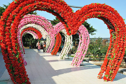 广州南沙新万顷沙百万葵园,看100年的历史去广州