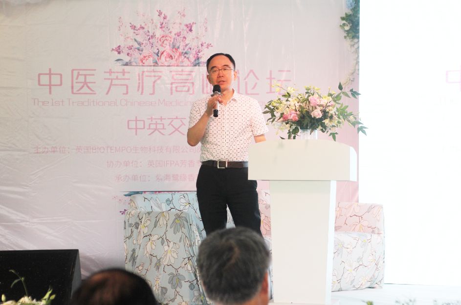 2020崇明花卉博览会,崇明花博会郁金香