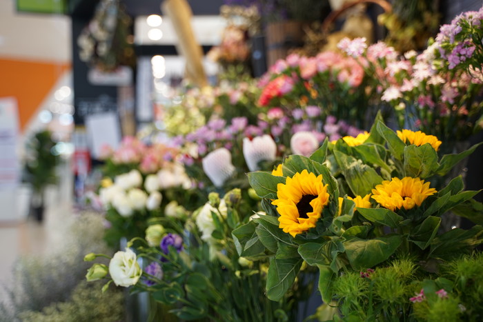 腾龙e口28-75f2.8评测,腾龙28-75f2.8和索尼24-70f4对比