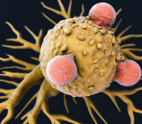 橄榄油的好处有哪些啊,橄榄油的好处与功效