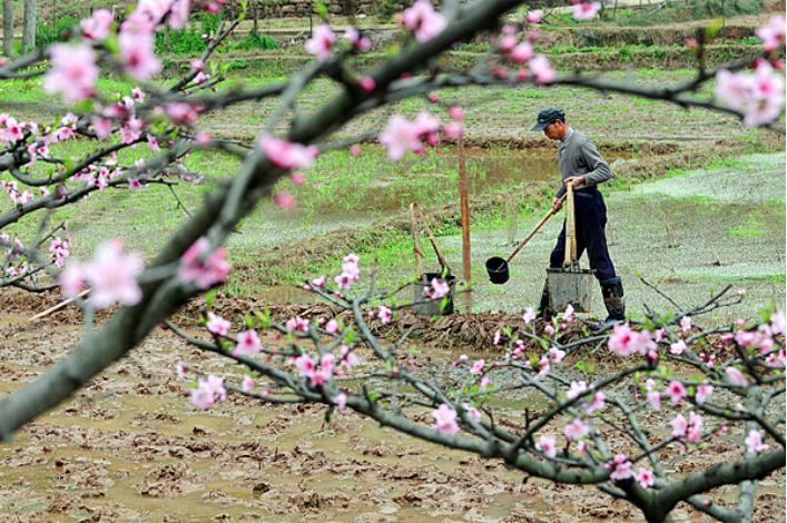 「纪检人·镜头」轻雷初惊蛰耕种满田畴