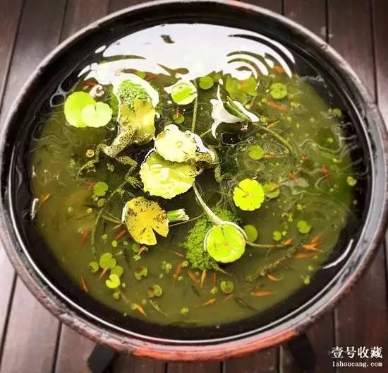 世界最古老茶叶的出土处汉阳陵,考古发现世界最早茶叶