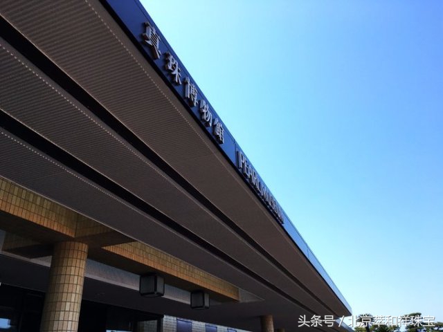 珍珠之王的前世今生南洋金珠,mikimoto珍珠是代加工吗