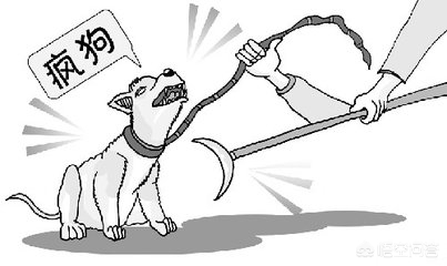 如果疯狗咬你一口你会咬回去吗,如果有疯狗向你冲来怎么办