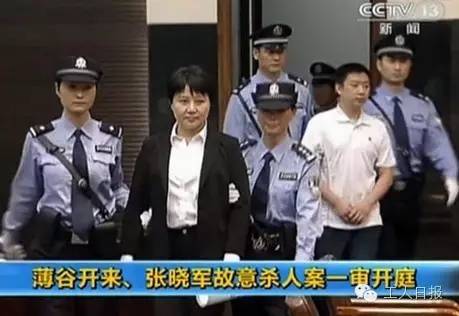 揭秘贪腐大案,揭秘贪腐现象背后的真相