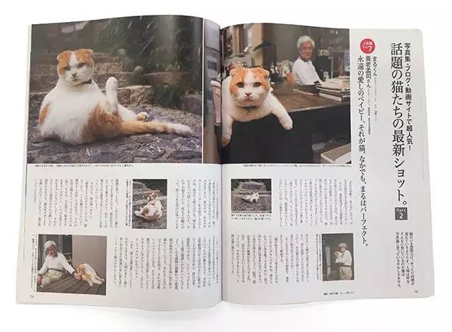 croissant猫咪原视频,croissant猫系列