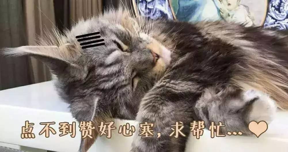 我吃过的那些店大合集