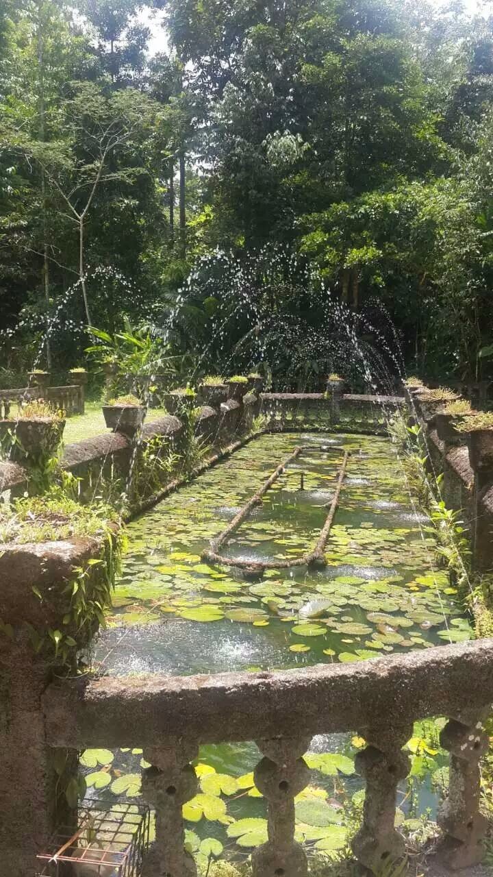 澳大利亚昆士兰自由行攻略,去澳大利亚昆士兰州旅游攻略