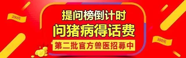 猪人工授精最容易被忽视的细节