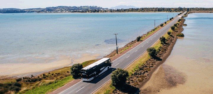 趁年轻我们一起去旅行吧,趁年轻我们一起去旅行