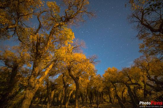 绚丽星空如何拍摄的好看,宇宙星空拍摄教程