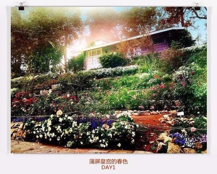 清迈住宿攻略清迈自由行,在清迈