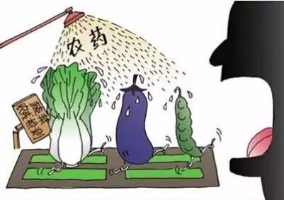 如何去除蔬菜水果上的农药残留,农药残留的危害及其去除方法