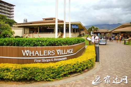 夏天海岛旅游穿搭,夏天去北欧旅行穿搭