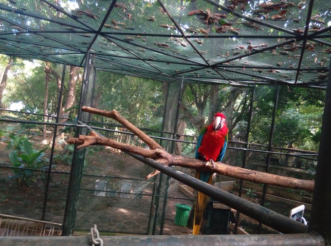 毛里求斯蜜月地,毛里求斯度蜜月旅游攻略