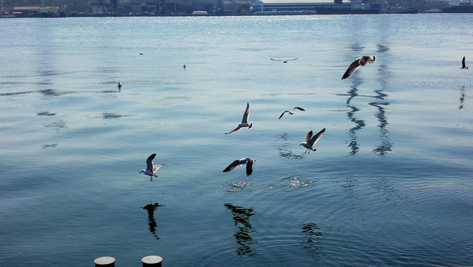 海参崴旅游攻略必备物品,最新海参崴旅游攻略自由行