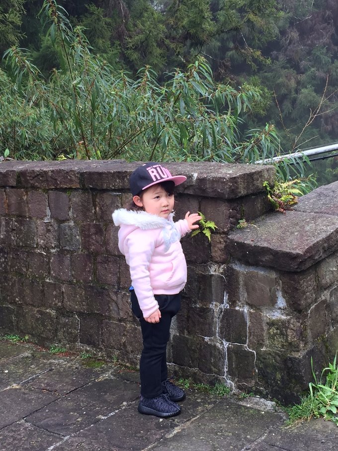 老爸追梦之旅,父亲的圆梦之旅