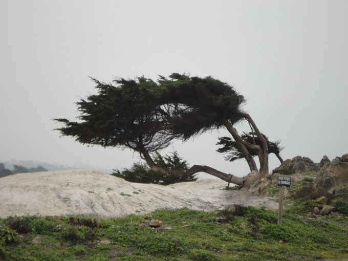 美国1号公路旅游视频,美国1号公路旅游线路