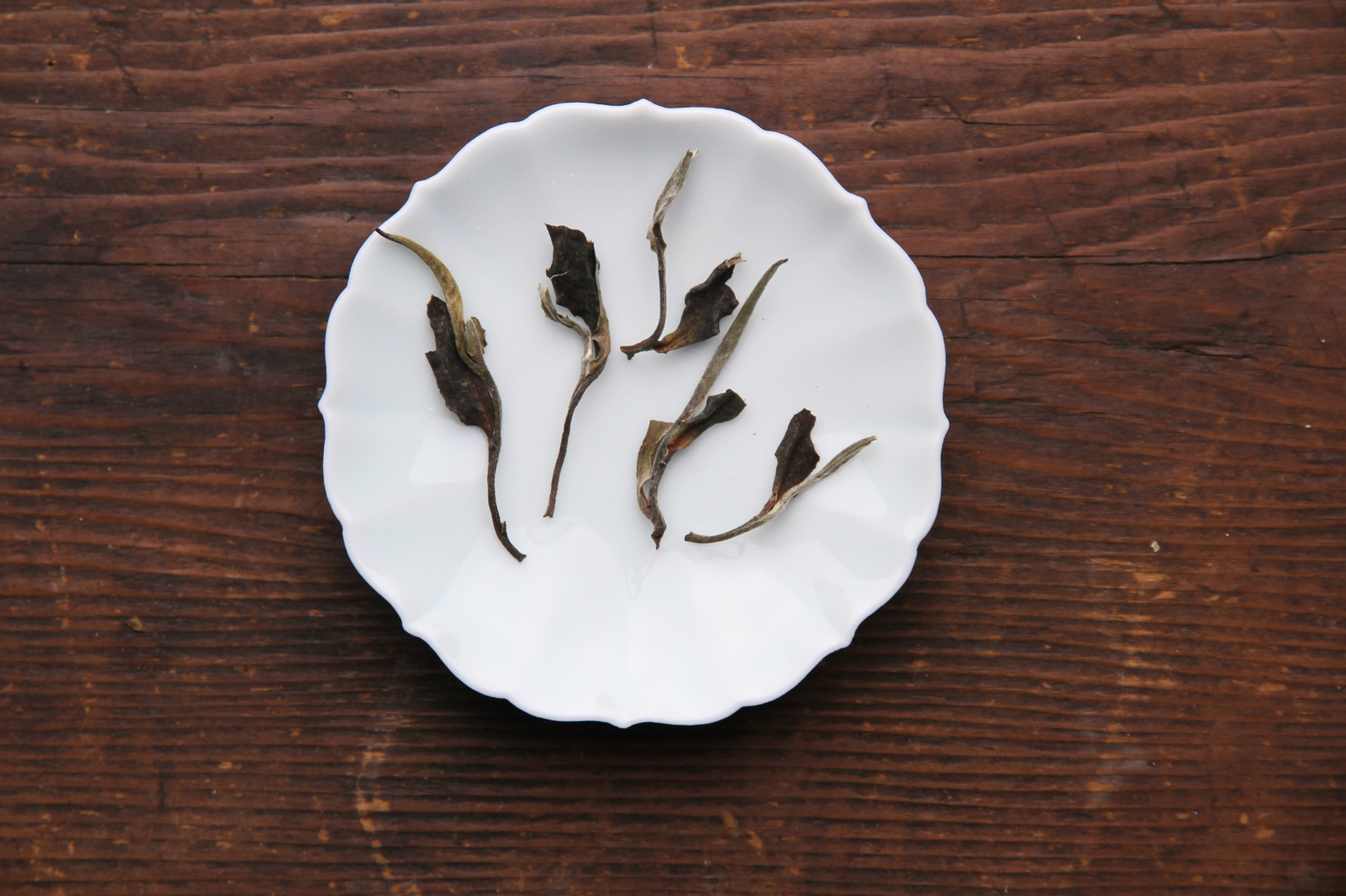 喂，福建白，你们家来了个亲戚叫云南白！