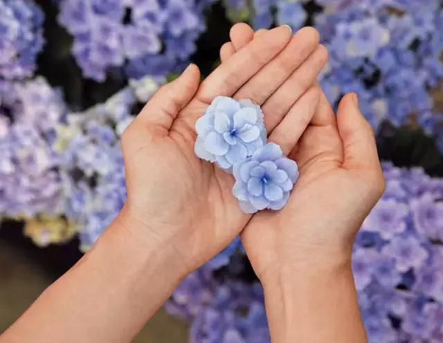 现在的日本是什么样的,现在的日本广岛什么样子