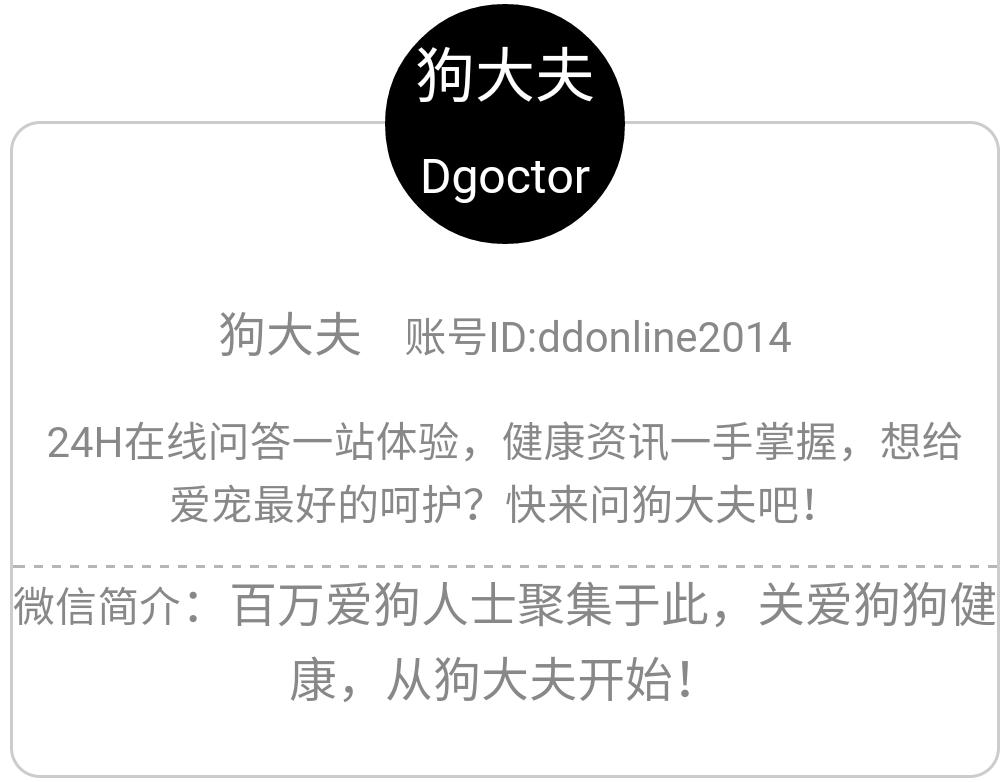 狗狗夏日皮肤护理：和皮屑、瘙痒、红疹说拜拜！狗大夫微课堂回顾