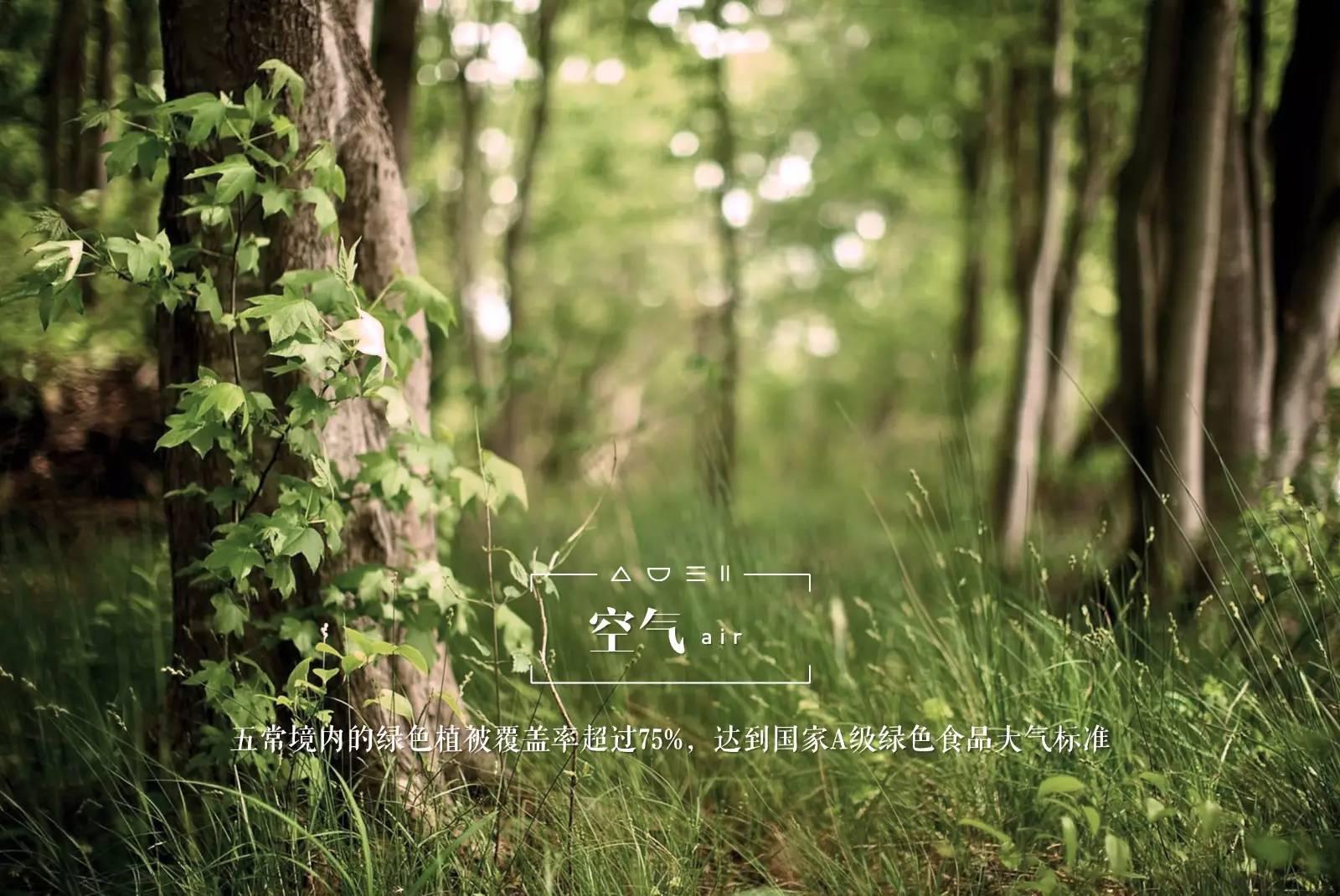 脚气病患者福利来啦！日本人为什么吃胚芽米？原因在这！