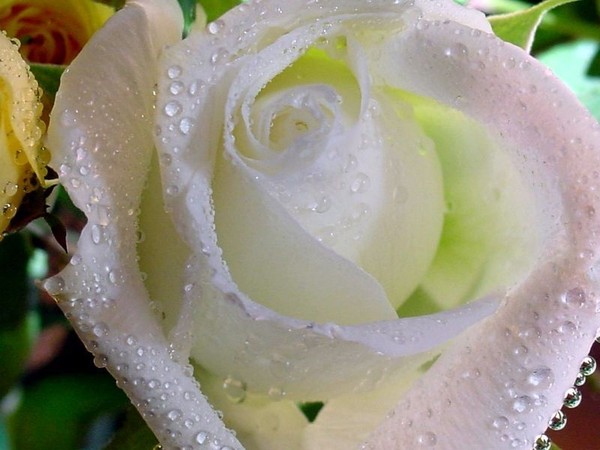 急症查流产征兆,医学检查流产