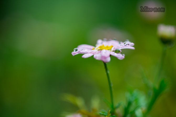在这座神山中，我们每个人都是武林高手