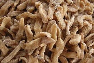 南药种植项目是骗人的吗,千万别上当了45个骗人的农业项目