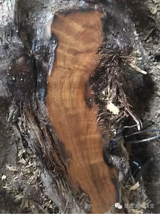 拆70年老宅发现100多年前的乌木,农民挖出一个天价的乌木