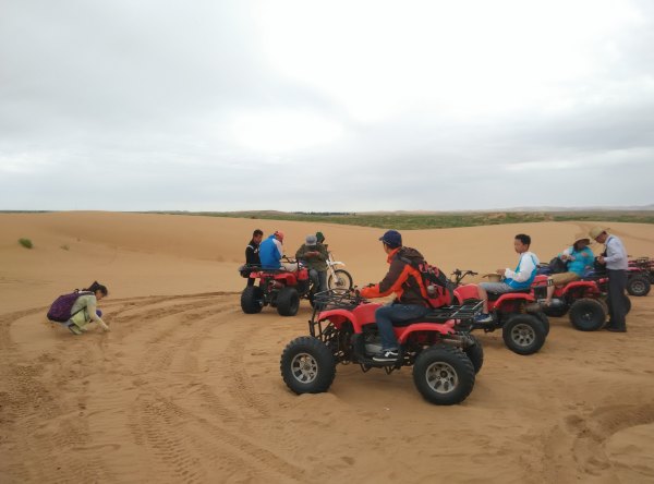 爸爸去哪儿旅游打卡,爸爸去哪儿宁夏中卫沙坡头