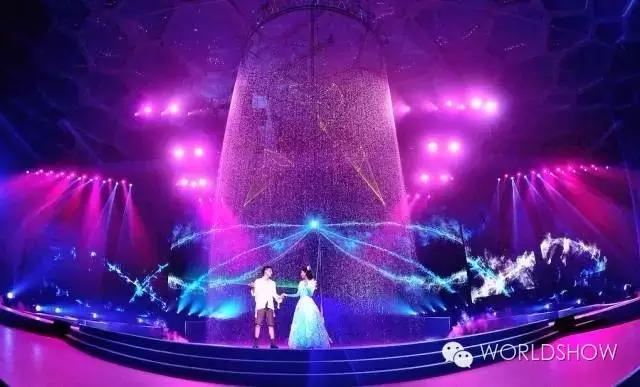 最惊艳的鸟巢,鸟巢吸引鸟的视频