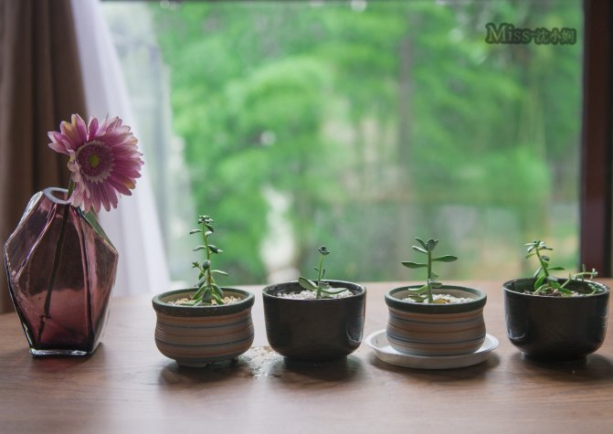 在这座神山中，我们每个人都是武林高手