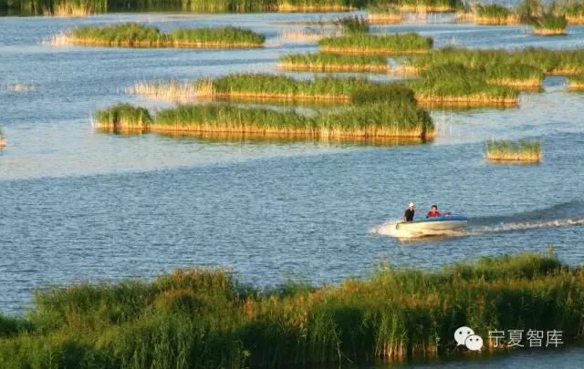 记忆中的青铜峡,青铜峡是县城吗