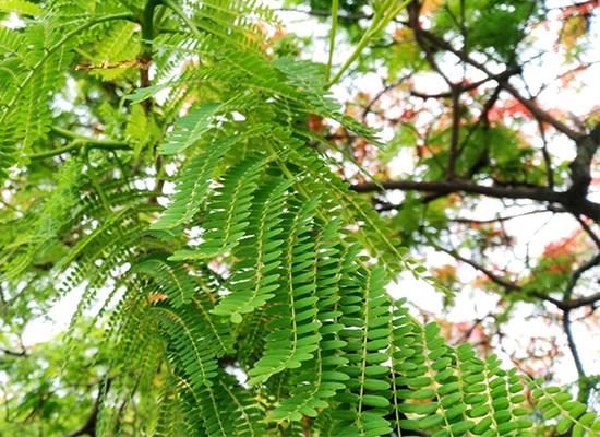 红米三款手机,红米3s手机评测