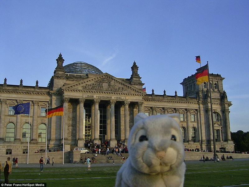 男子携带玩偶兔旅行20多国你想携带什么？