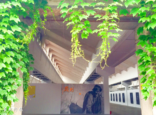 常州古运河五号街区,浮光掠影常州