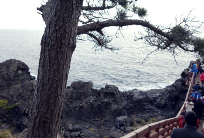 济州岛玩包车还是租车好,说走就走的韩国旅游