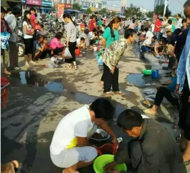 徐州某集市卖“姐喽龟”的，这场面你见过吗？